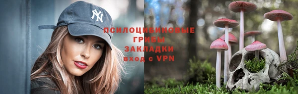 бошки Верхний Тагил