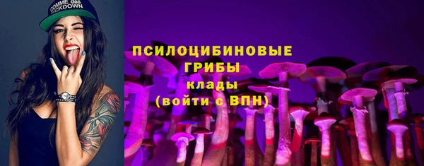 бошки Верхний Тагил