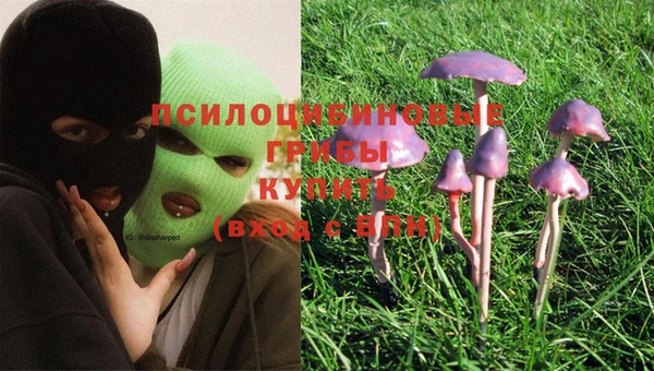 молекула духа Верея