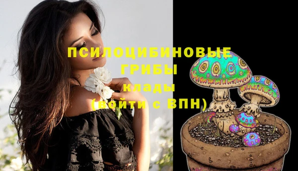 крисы Верхнеуральск